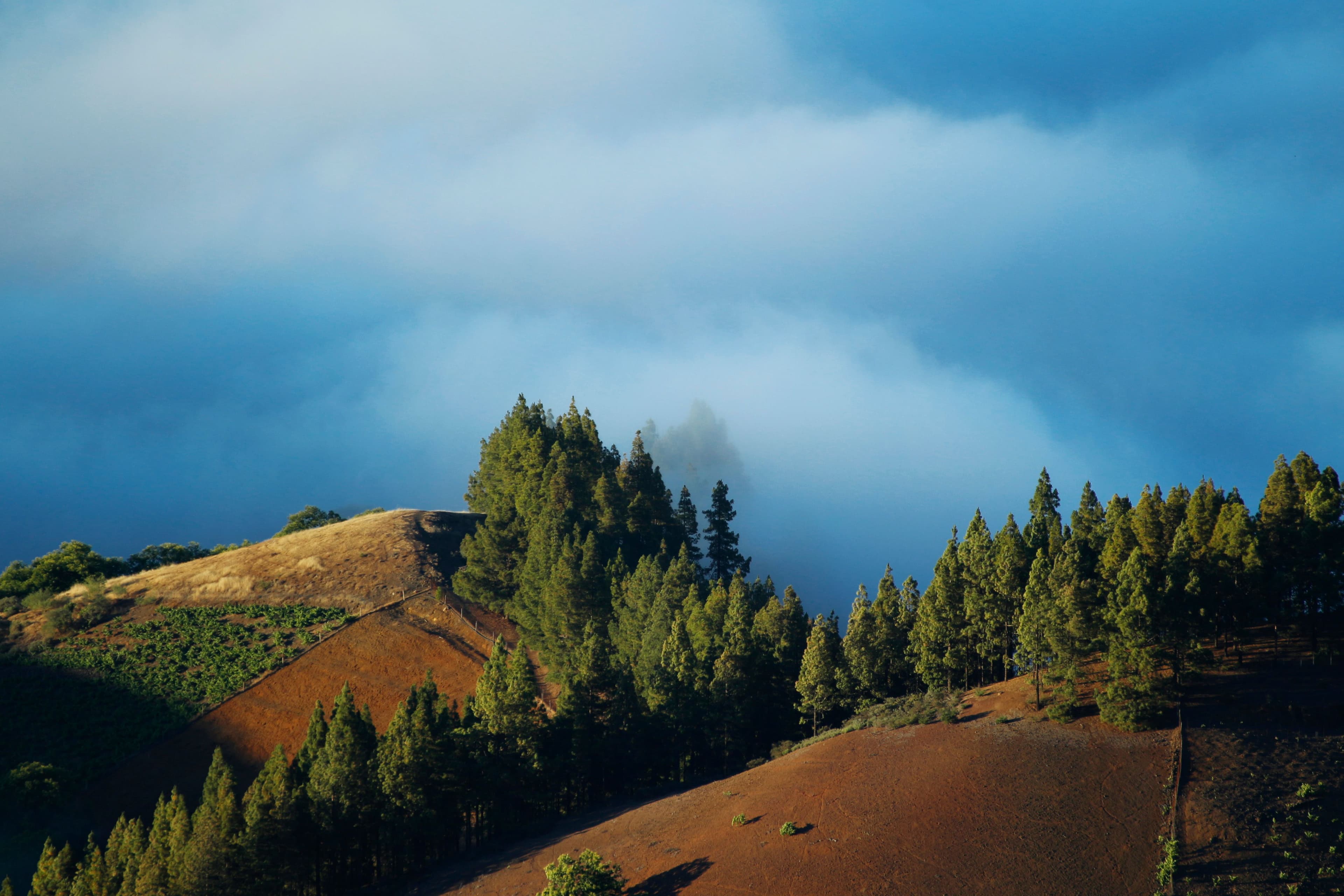 Imagen representativa del ámbito: Medio Ambiente